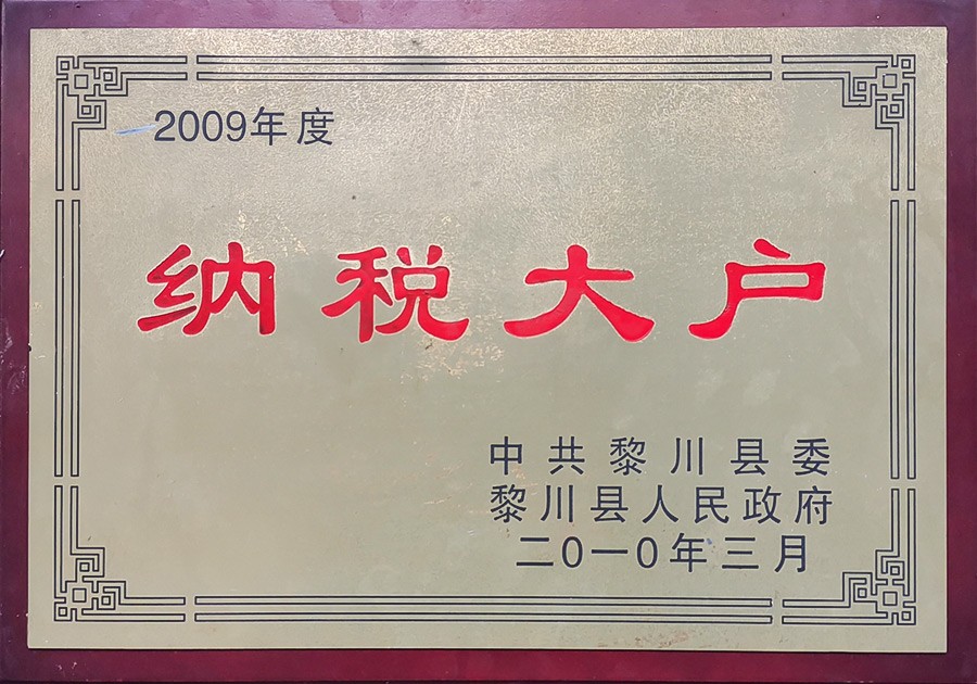 2009年度纳税大户